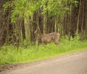 FortSnelling 2014 05 24 015